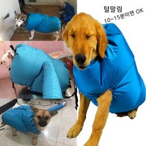 김앤강 반려동물 드라이수트 드라이룸 견조기 드라이기 털관리 미용용품, S사이즈