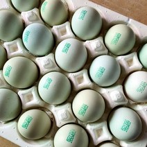 청계알 청란 초란 20구 자연방사 난각번호1번 날계란 계르마늄 계란, 청란16+초란4구