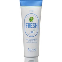 닥터초이스 좋은치약 프레시, 120g, 1개