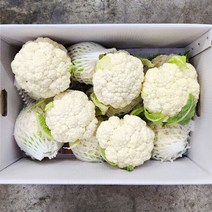야채24닷컴 생 컬리플라워 1kg, 1개