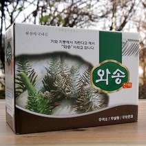 국산 혈관에 좋은 와송 즙 엑기스 차 100ml x 60포