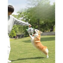수아네 강아지어질리티 허들 훈련소 반려견 펫피트니스 강아지산책훈련, 축구공 사이즈 S + 새는 음식 장난감