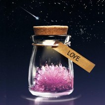 LED 수정키우기 실험키트 수정만들기 방과후교실 실링