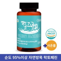프리미엄 초유 단백질 락토페린 정 1000mg 다이어트 유산균, 60정, 4개