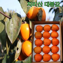 지리산 하동 대봉감 대봉시 5kg 10kg 자연 후숙 산지직송 감말랭이, 대봉감 5kg 중과 17-18과내외, 1개