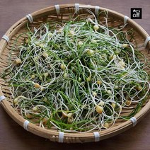 [참다른] 당일수확 향긋한 봄나물 흙 달래 500g, 상세 설명 참조