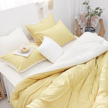 이즈베딩 플레인 프리미엄 고밀도 마이크로화이바 알러지케어 먼지없는 에어로워싱 호텔 이불세트 (SS/Q)