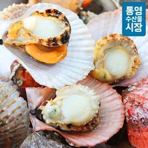 [통영수산물시장] 비단가리비 1kg 20~25미내외