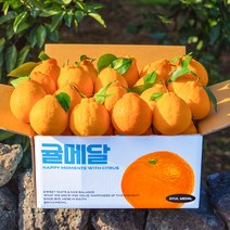 [당도선별] 제주 한라봉, 5KG (중대과)