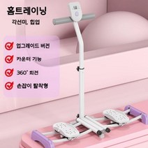 2세대 3세대 홈트레이닝 슬라이드 스키 머신 스쿼드 하체 다이어트 운동 애플힙 접이식, [2세대]퍼플(손잡이없음)