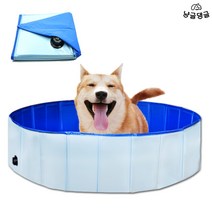 냥글댕글 강아지 수영장 애견 접이식 욕조 고양이 목욕통, 1개, 10_블루 160 cm x 30 cm