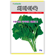 오스템바이오 치마아욱 20g 종자 씨앗 아욱 재래종 다수확 채소씨앗, 1개