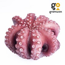 자숙문어 900g 통문어, 자숙 통문어 900g