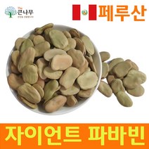 The큰나무 페루 자이언트 파바빈 콩 원물 항공직수, 10팩, 300g