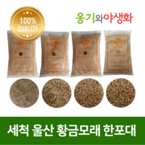 옹기와야생화 세척 울산 황금모래 3호 자연의색 다육파종