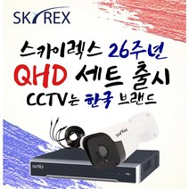 스카이렉스 QHD 초고화질 하이브리드 매장&가정용CCTV 케이블30M 풀세트 실내외겸용, 보급형 실내1개(전용 케이블 30M+아답터)