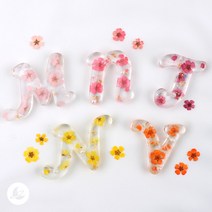 미니 프리저브드 압화 레진 아트 공예 재료 R373, 2.진핑크