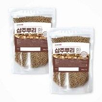 백장생 국내산 삽주뿌리환 백출환 300g, 2개