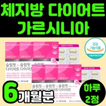 60대 중년 시니어 늘어진 뱃살 군살 다이어트 가르시니아 가르니시아 가르시아나 영양제 알약 추천 체지방 보조제 탄수화물 억제제 보조제 종아리살 허벅지 안쪽살 배살 술살 나잇살 빼기