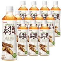 롯데 초가을우엉차 500ml x 12PET, 신박장터쿠팡 1, 신박장터쿠팡 본상품선택