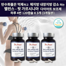 여성 남성 탄수화물 컷팅제 흡수 억제 체지방 내장지방 체중 감소 감량 촉진 식약처인증 제 닥터 가르시니아 750ng 비타민 녹차 추출물 함유 다이어트 보조제 알약 영양제 120캡슐, 700mg, 3개