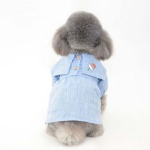 강아지 봄 여름 원피스 시원한 하늘 치마 외출복, 블루