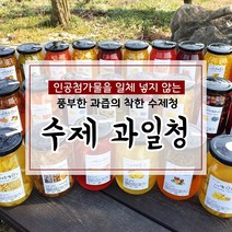 무색소 무첨가 100% 수제청 과일청 자몽청 500g, 23번 생강청, 1개