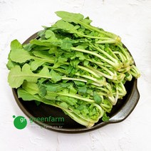 루꼴라 300g