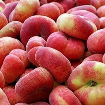 산지직송 당도보장)거반도납작복숭아 으뜸딱딱이복숭아 으뜸황도복숭아 판타지아천도복숭아 선물용, 1개, 으뜸황도복숭아(9과내외)