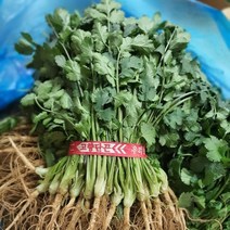 [신중국식품] 고수350g. 중국향차이. 야채고수, 1개, 350g