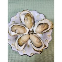 홍지야 삼배체굴 고흥굴 국내산 1kg 석화 생 굴 찜 무침 구이 알 깐굴, 삼배체굴6~8미