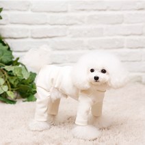 펫디자인 휘트니스 올인원, 아이보리