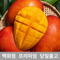 애플망고 4kg 애플망고 쥬스 대용량 과일 열대 망고, 쿠팡 1, 쿠팡 본상품선택