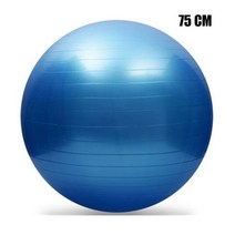 55/65/75/85/95 CM 요가볼 필라테스 피트니스 밸런스 볼 체조 임산부 배달 운동 피트니스 조산 PVC 볼, 본상품, blue 75 CM 옵션