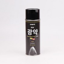 말표 스프레이광약 흑색 1P, 상품선택