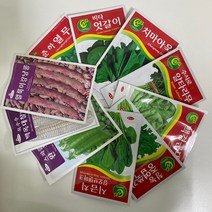 루아데코 채소재배 씨앗 모음 열무 시금치 완두콩 옥수수 베란다 텃밭만들기, 근대