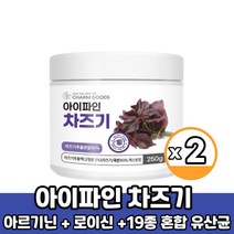 국내산 차즈기 치즈기 차조기 추출 분말 추출물 추출분말 가루 액 티 차 붉은 깻잎 파우더 먹는법, 2통, 차즈기 250g