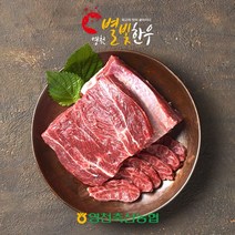 영천별빛촌 [영천축협]영천별빛한우 사태500g / 1+등급, 1
