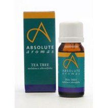 앱솔루트 티트리 Tea Tree 에센셜오일 아로마오일 10ml