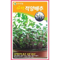 새싹적양배추씨앗 30g PO, 없음