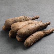 땅속의 장어!! 서안동농협 국내산 산마 2kg, 산마 특상품 2kg