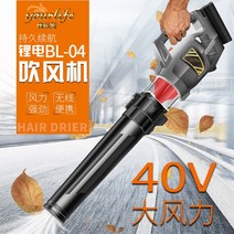 헤어 드라이어 휴대용 고전력 리튬 배터리 40v 전기 잎 큰 바람 충전 먼지 제거 도로 송풍기, 20v 플랫 노즐 헤어 드라이어 (싱글 전기 +