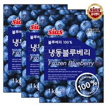 [퀴클리몰] 시아스 냉동 블루베리 1kg x 3개   드라이아이스 1개
