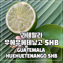 (커피생두) 43 과테말라 우에우에테낭고 SHB 500g