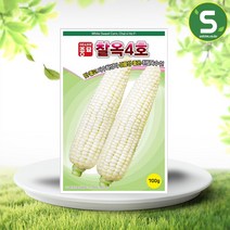 솔림텃밭몰 흰찰옥수수씨앗 700g 옥수수씨앗 찰옥4호 중만생종
