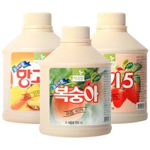 차그림 자몽주스 850ml 자몽 과일 농축액 원액 주스, 1개