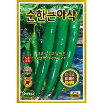 헬프팜 순한큰아삭고추 100립 씨앗 종자 KS종묘
