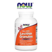 나우 푸드 레시틴 과립 454g Lecithin Granules