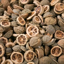 봉래 국산 지실(어린탱자) 600g/어린탱자열매/탱자나무열매/애지실/새끼탱자 식품 > 건강식품 전통건강식품 기타전통건강식품/한방재료, 1, 600g” class=”wr-img”></a></div></p></div></p></div></p></div><div class=