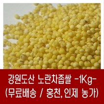 [다온농산] 2022년산 강원도산 노란차조/차좁쌀 -1Kg- 홍천/인제농가, 1개